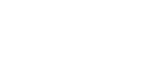 Black in the USA